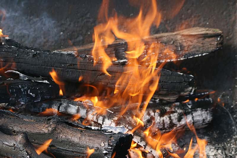 La fabrication du feu par friction Dossier — free download